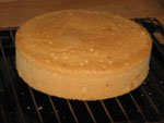 Масленый бисквит