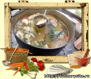 Уха из сома