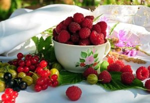 Аптека на вашем кухонном столе