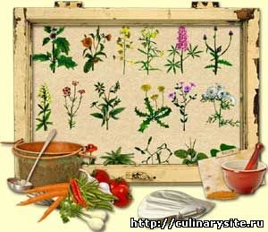 Лекарственные травы и растения