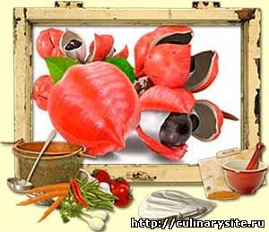 Рекомендуемая дозировка и способ употребления