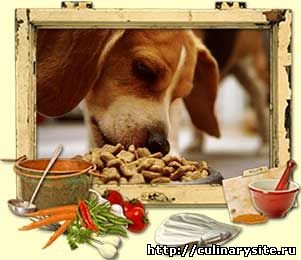 Как правильно кормить собаку