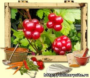 Полезные свойства княженики